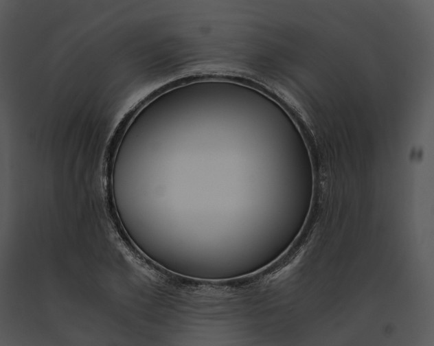 X0000091200981200708301557