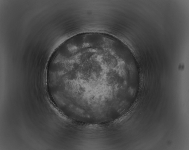 X0000091200982200708301557