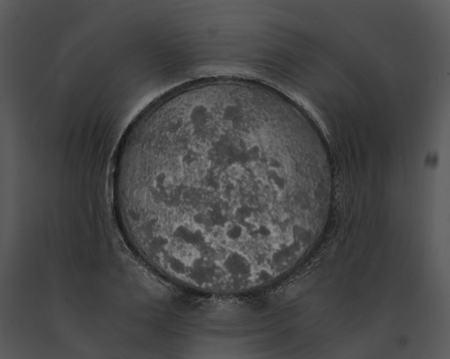 X0000091200983200708301557