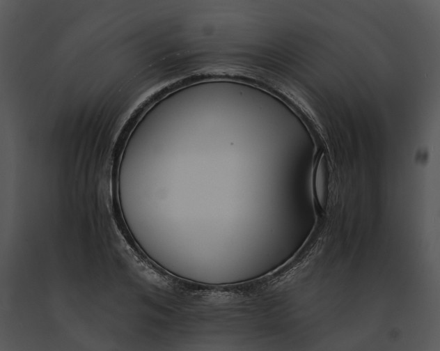 X0000091200984200708301557