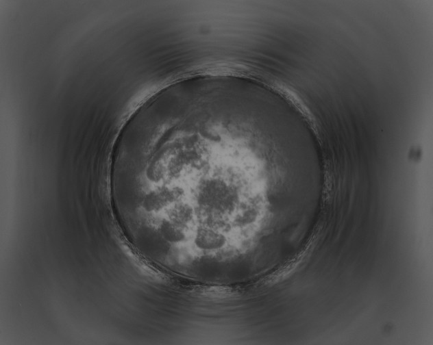 X0000091200986200708301557