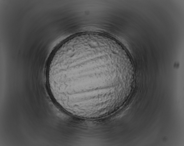 X0000091200987200708301557
