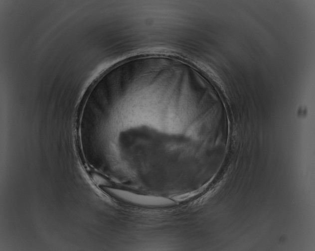 X0000091200989200708301557