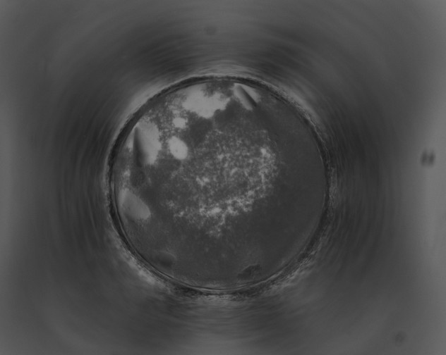 X0000091200990200708301557