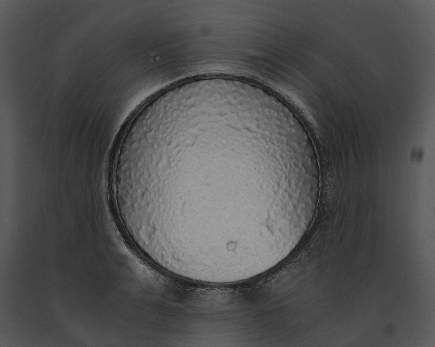 X0000091200991200708301557