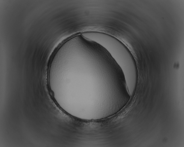 X0000091200992200708301557