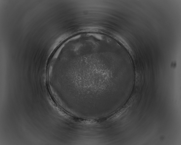 X0000091200994200708301557