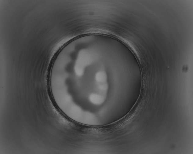 X0000091200995200708301557