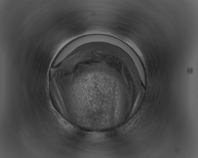 X0000091200996200708301557