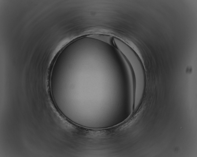 X0000091200997200708301557
