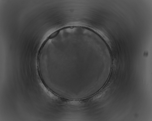 X0000091200998200708301557