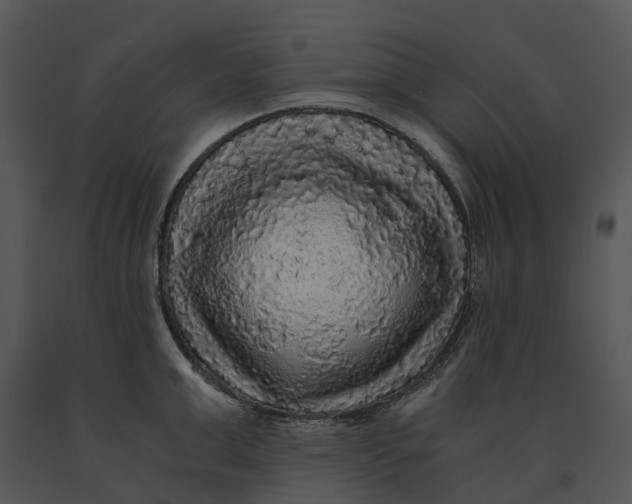 X0000091200999200708301557