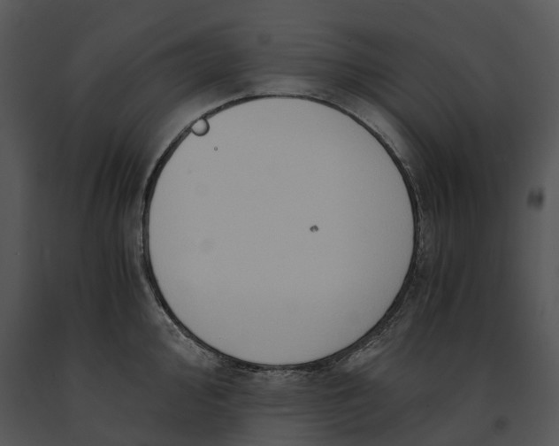 X0000091201000200708301557