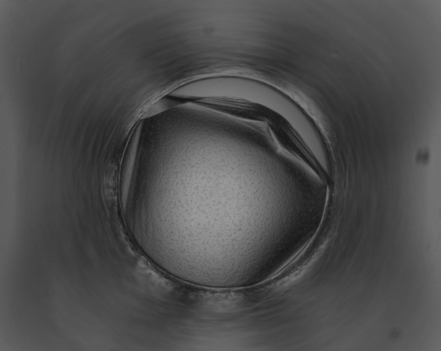 X0000091201001200708301557