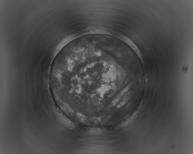 X0000091201002200708301557