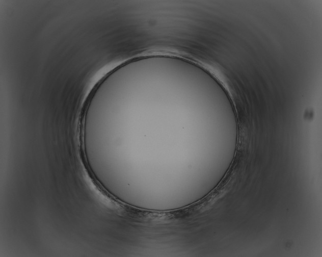 X0000091201003200708301557