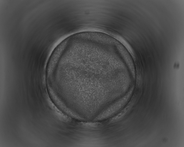 X0000091201004200708301557