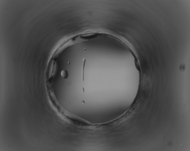 X0000091201005200708301557