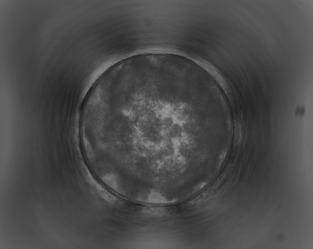 X0000091201006200708301556