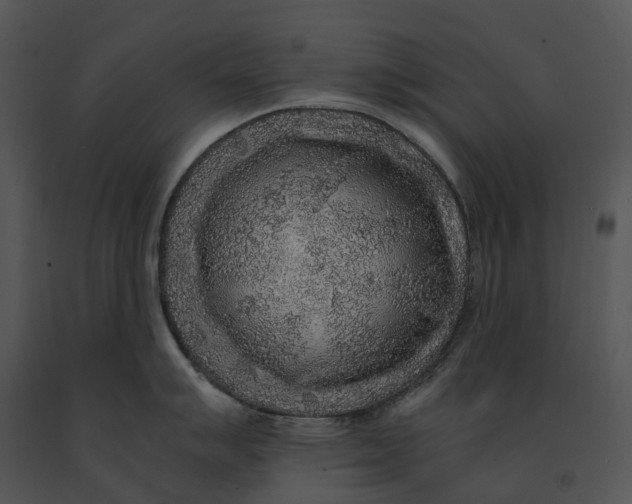X0000091201007200708301556