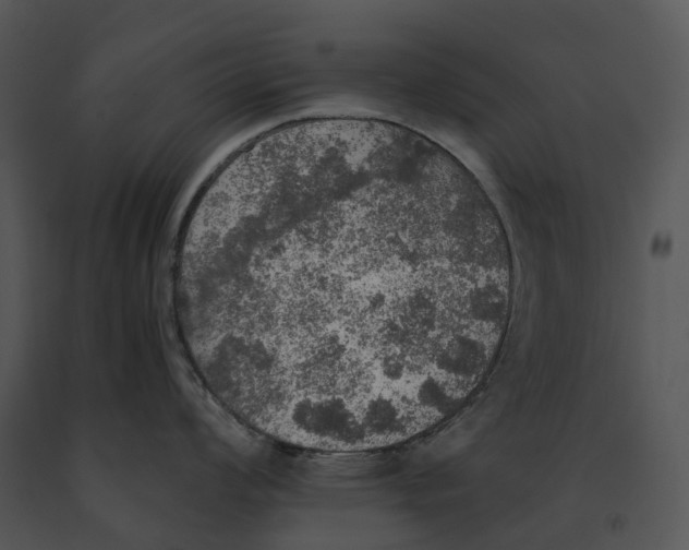 X0000091201008200708301556