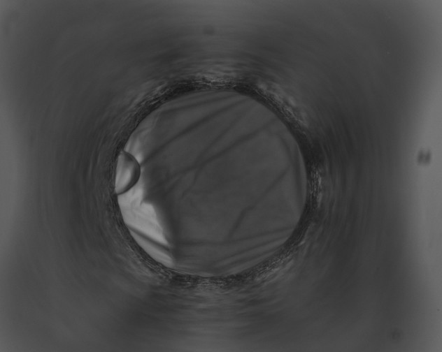 X0000091201009200708301556