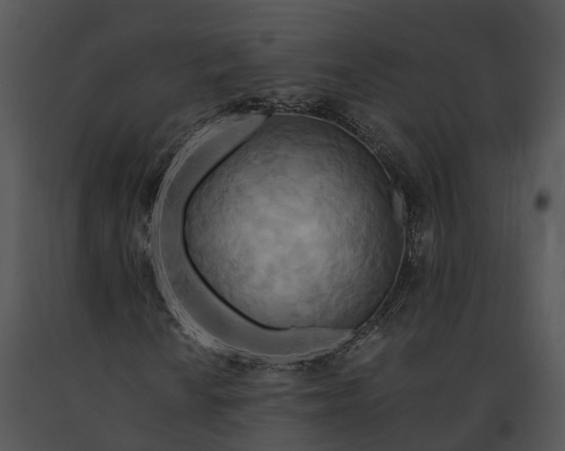 X0000091201010200708301556