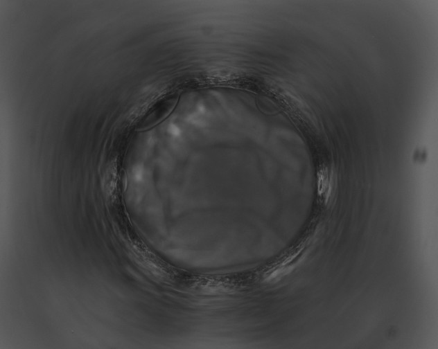 X0000091201011200708301556