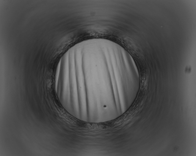 X0000091201012200708301556