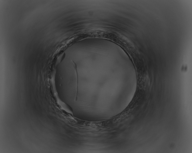 X0000091201013200708301556