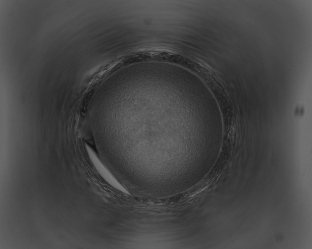 X0000091201014200708301556
