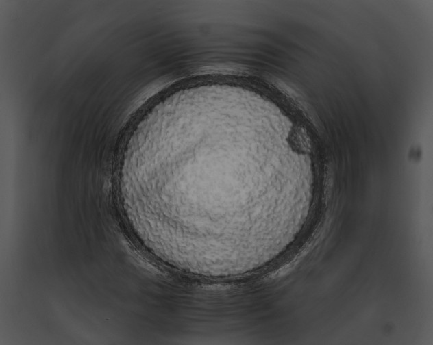 X0000091201017200708301556