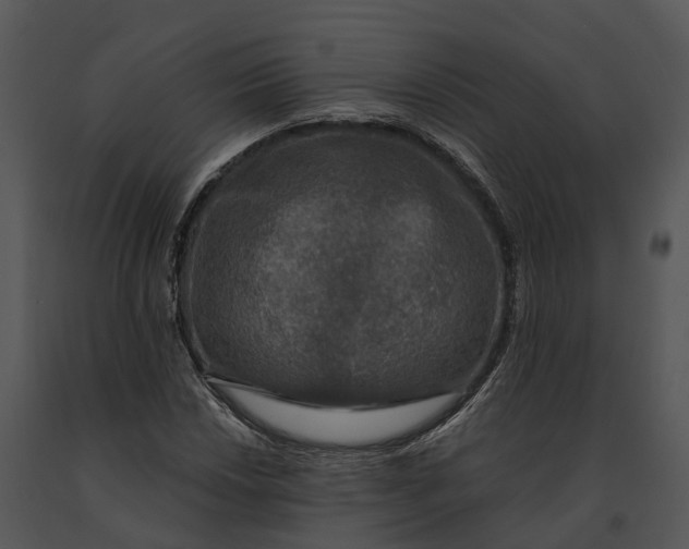 X0000091201018200708301556