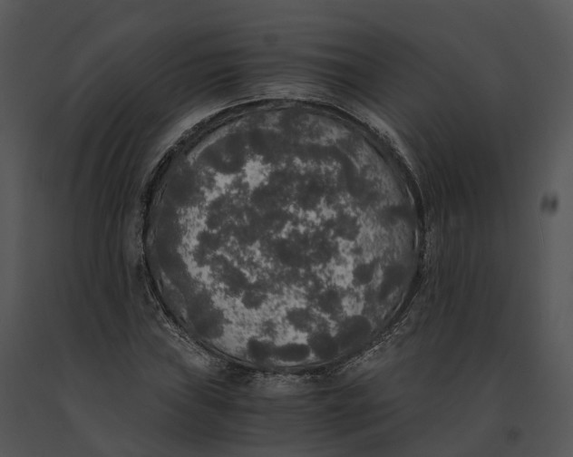 X0000091201019200708301556