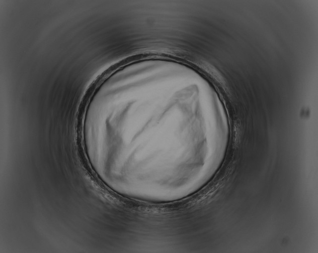 X0000091201020200708301556
