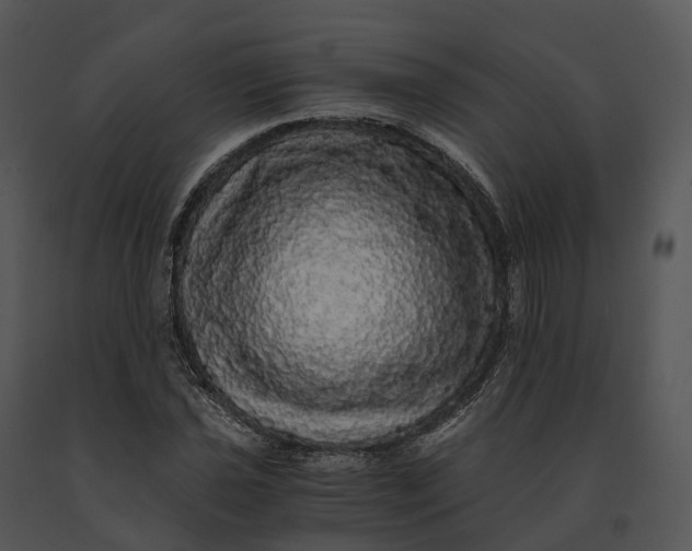 X0000091201021200708301556