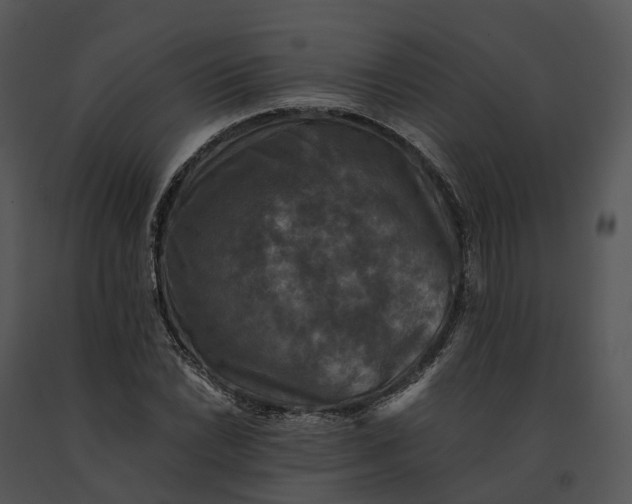 X0000091201022200708301556