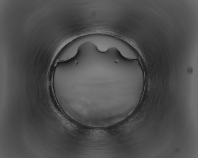 X0000091201024200708301556