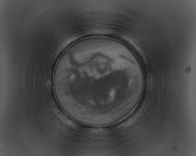 X0000091201025200708301556