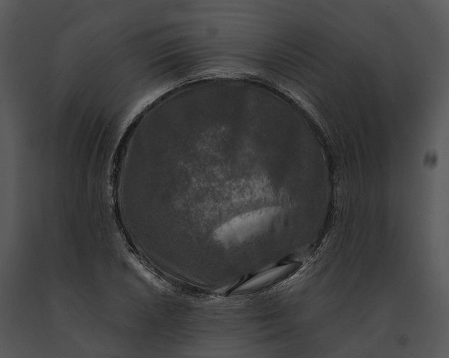 X0000091201026200708301556