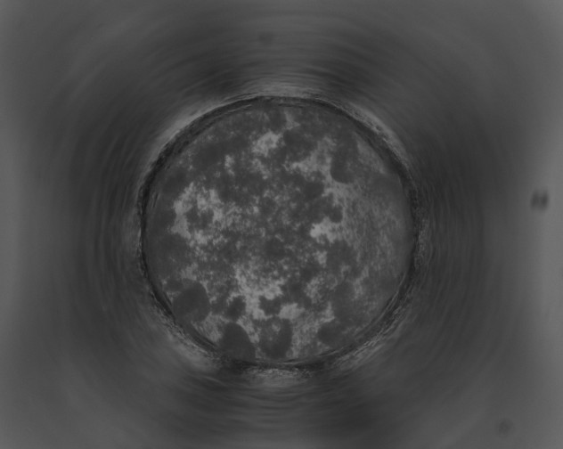 X0000091201027200708301556