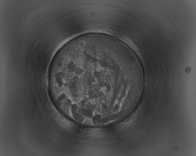 X0000091201028200708301556