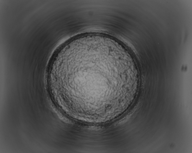X0000091201029200708301556