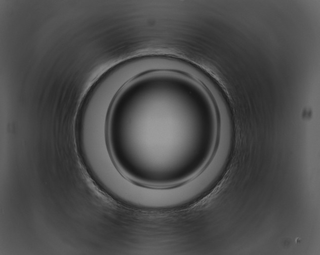 X0000091201030200708301556