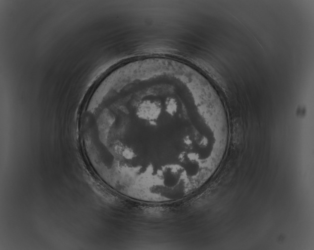 X0000091201031200708301556