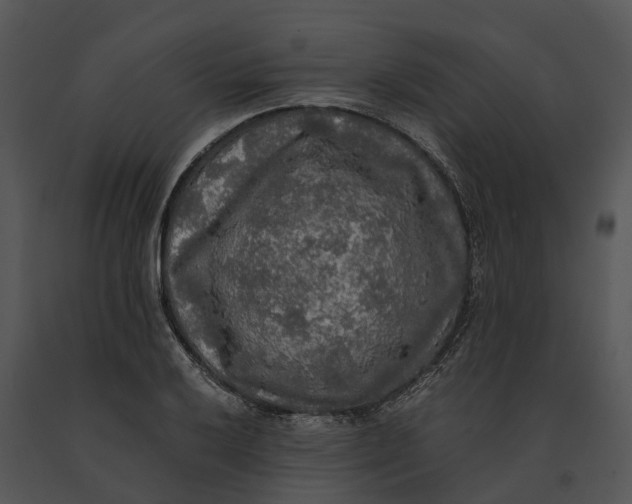 X0000091201032200708301556