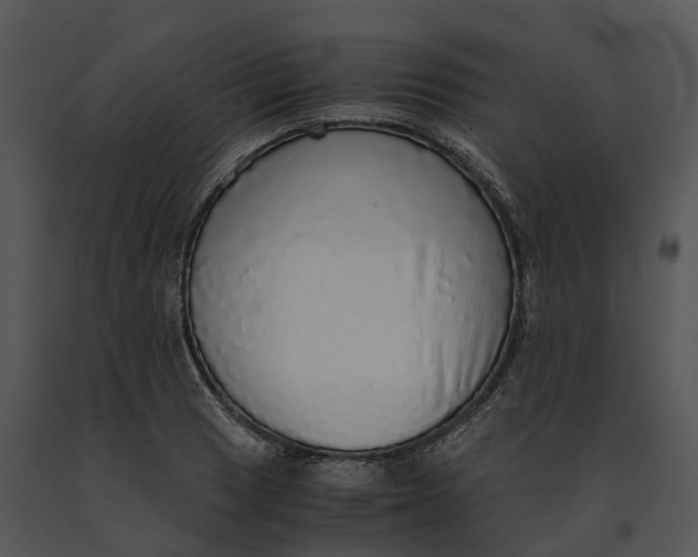 X0000091201033200708301556