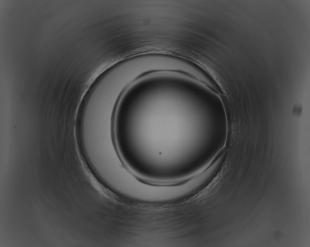 X0000091201034200708301556