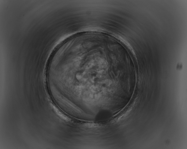 X0000091201037200708301556