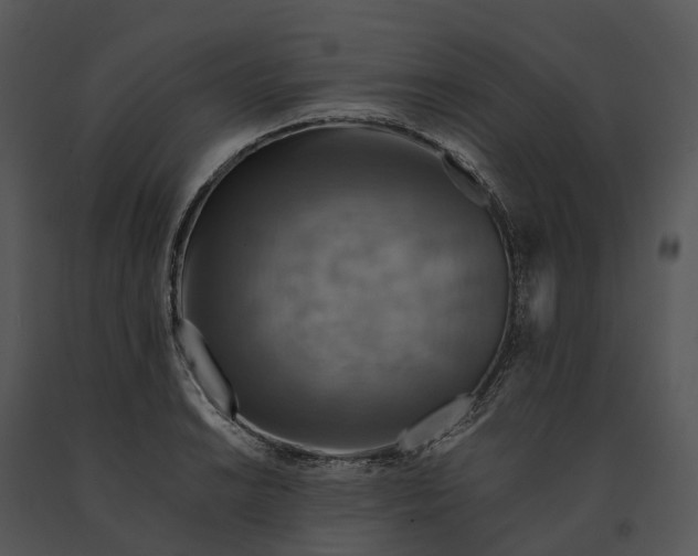 X0000091201038200708301556